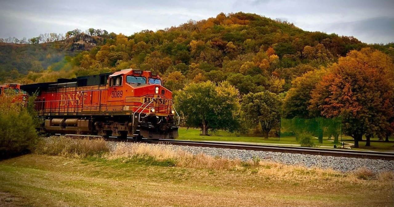 New Free‑mo Group Forms in Driftless Region